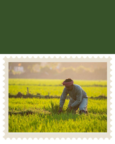 Farmer Founded