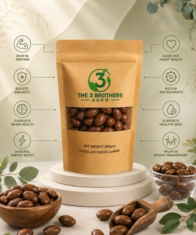 brown chocolate covered almond