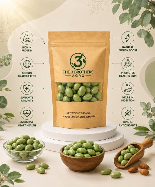 Round green chocolate almond dragées