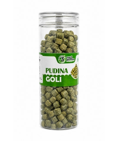 Pudina Goli Jar - Digestive Candy